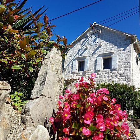 Old Stone Villa Lalosevic Kotor Ngoại thất bức ảnh