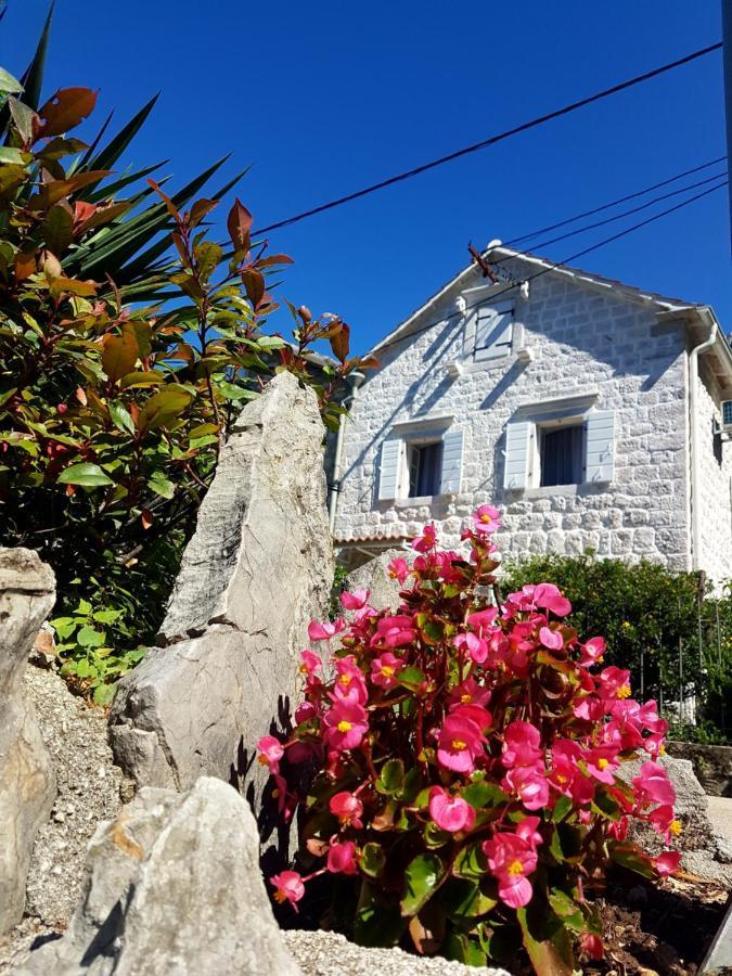 Old Stone Villa Lalosevic Kotor Ngoại thất bức ảnh
